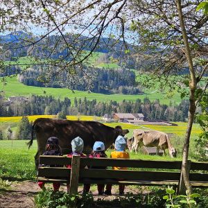 Blick über eine Ruhebank mit 4 Kindern auf eine Weide mit Kühen.
